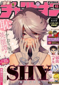 shy-4